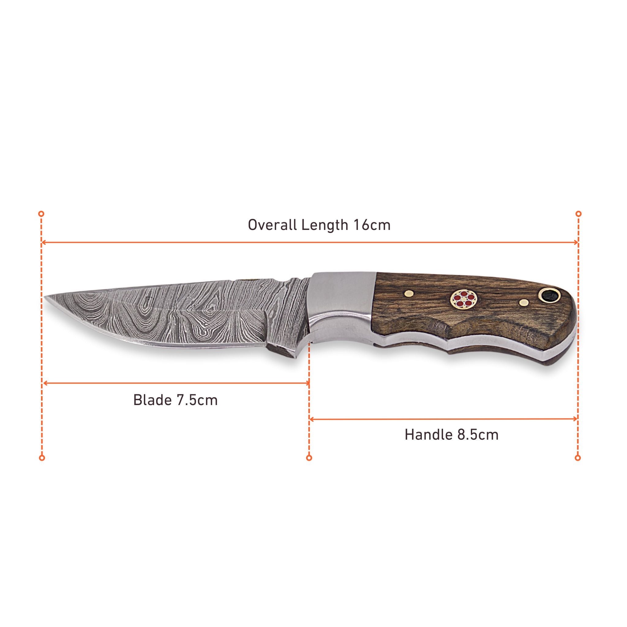 Brio Brisk III, Damascus Steel, Handmade Skinning Hunting Knife