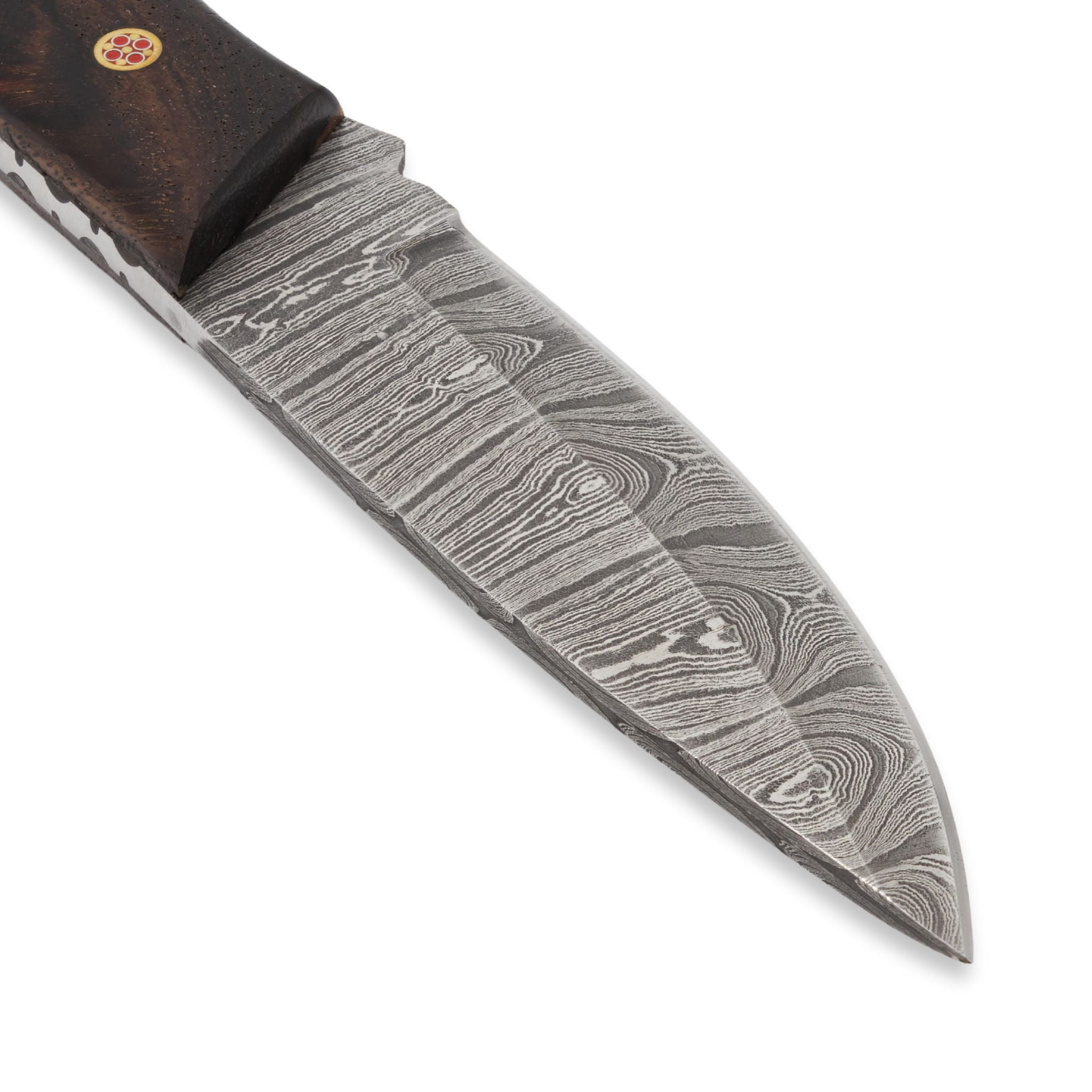 Outback Nomad II Handmade Hunting Knife Damascus Steel Blade Rosewood Handle